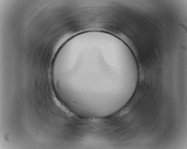 X0000102760958200809080938