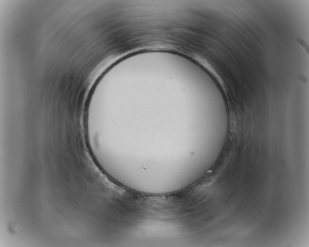 X0000102760959200809080938