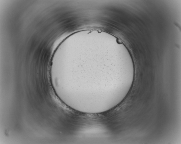 X0000102760960200809080938