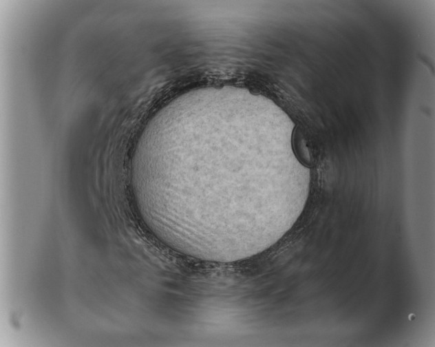 X0000102760961200809080937