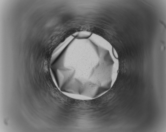 X0000102760962200809080937