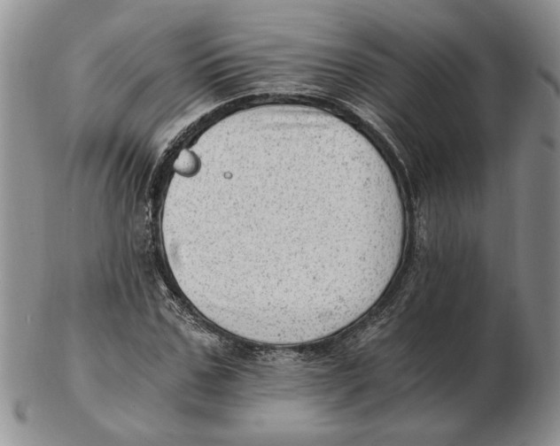 X0000102760971200809080937