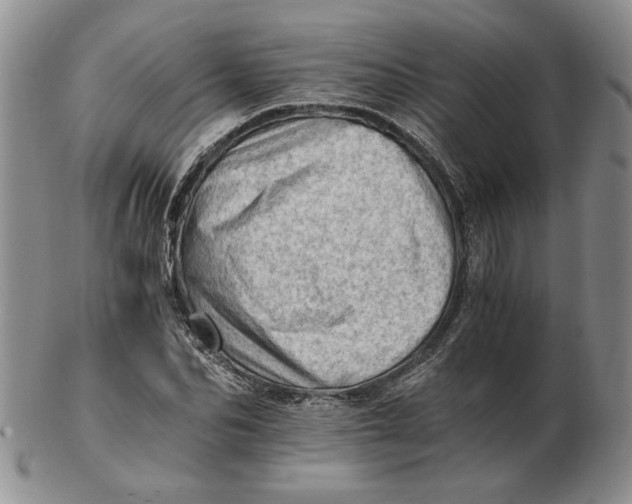 X0000102760974200809080937