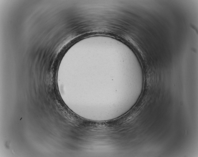 X0000102760975200809080937