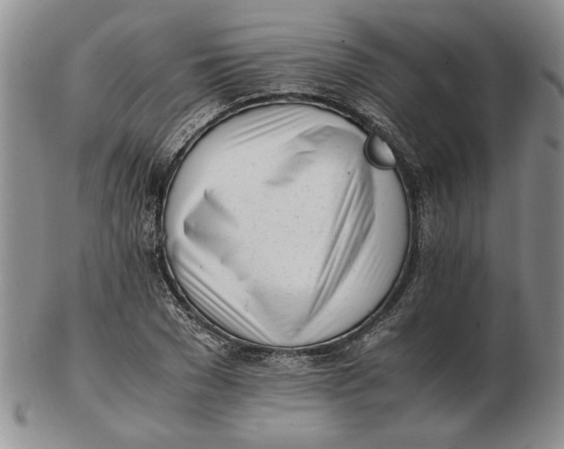 X0000102760977200809080937