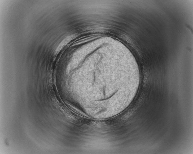 X0000102760978200809080937