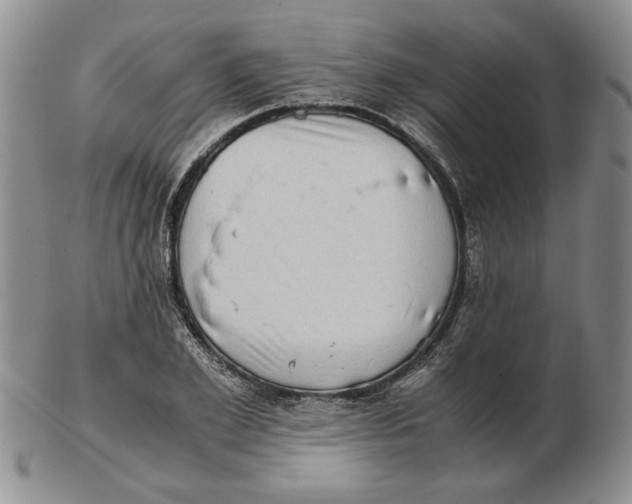 X0000102760981200809080937