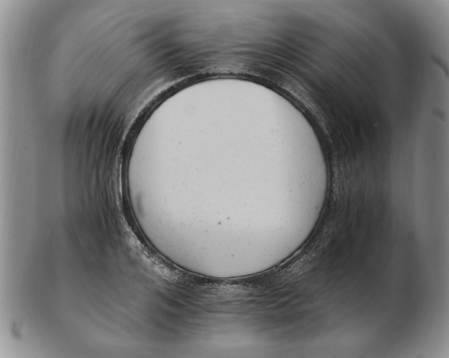 X0000102760984200809080937