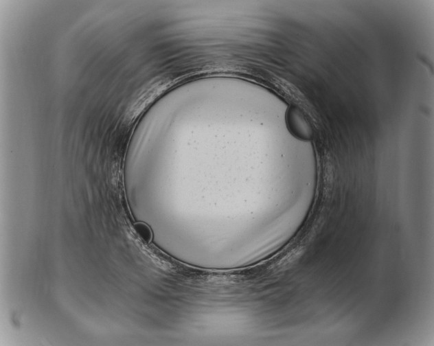 X0000102760985200809080937