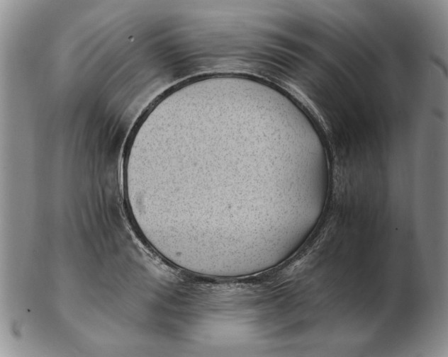 X0000102760988200809080937