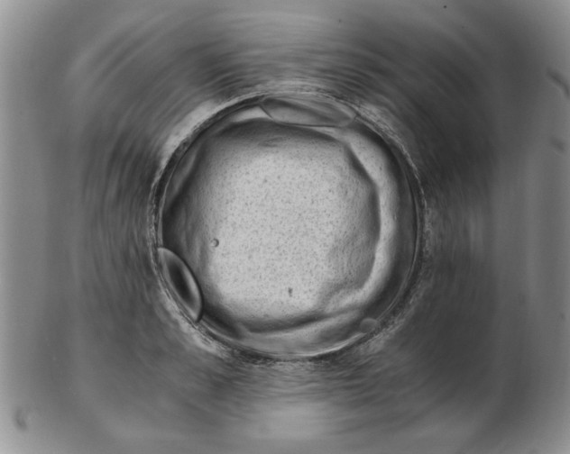 X0000102760989200809080937