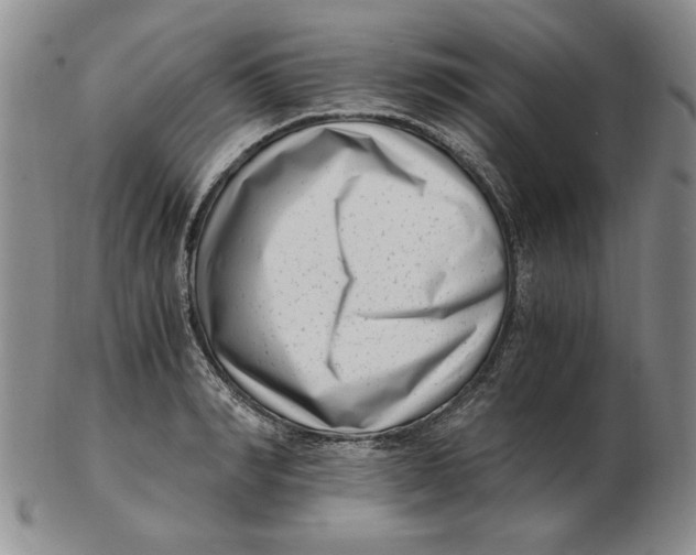 X0000102760990200809080937