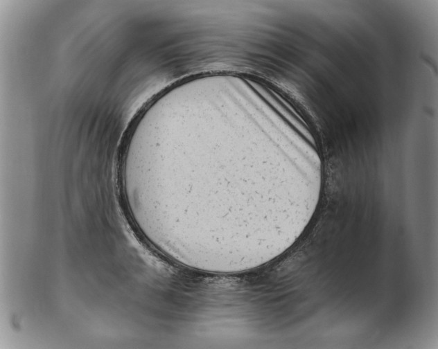 X0000102760991200809080937