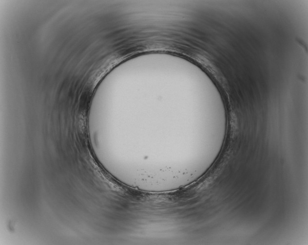 X0000102760993200809080937