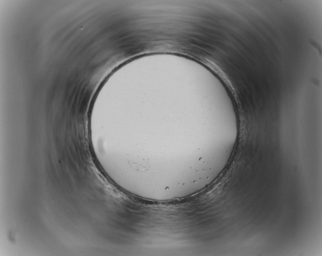 X0000102760996200809080937