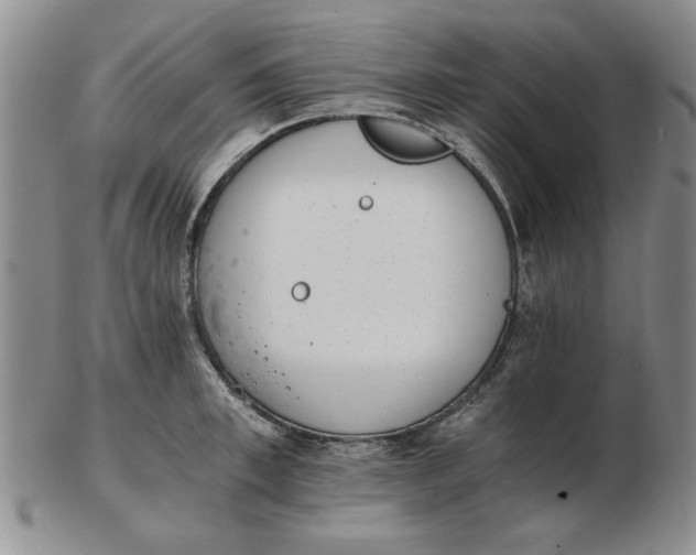 X0000102760997200809080937