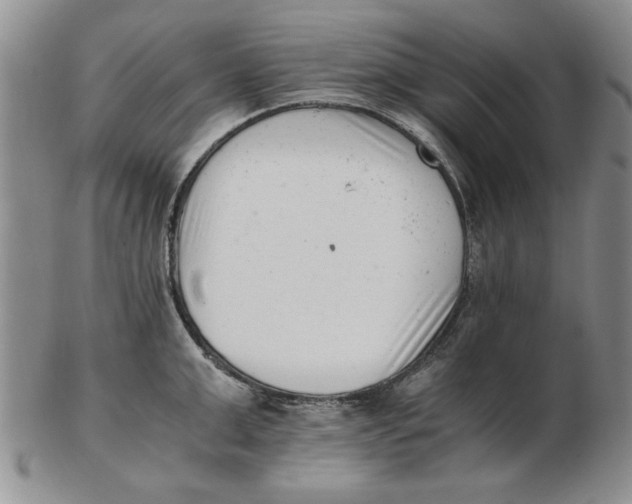 X0000102760999200809080937