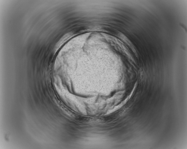 X0000102761002200809080937