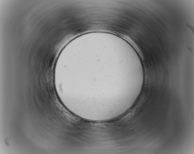 X0000102761004200809080937