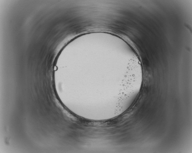 X0000102761005200809080937