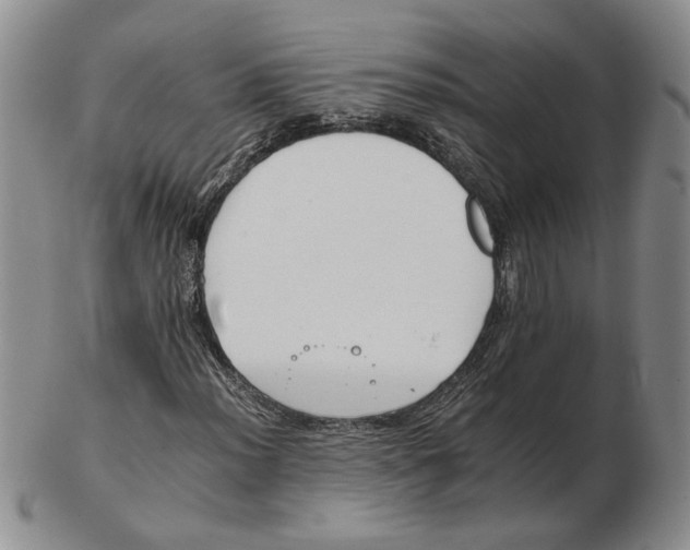 X0000102761012200809080936