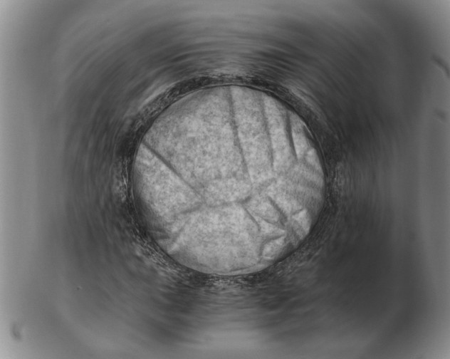 X0000102761015200809080936