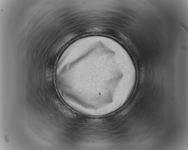 X0000102761017200809080936