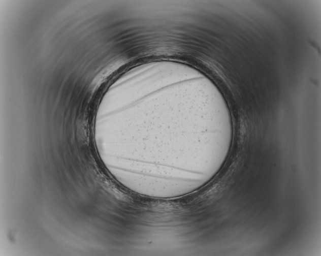 X0000102761018200809080936