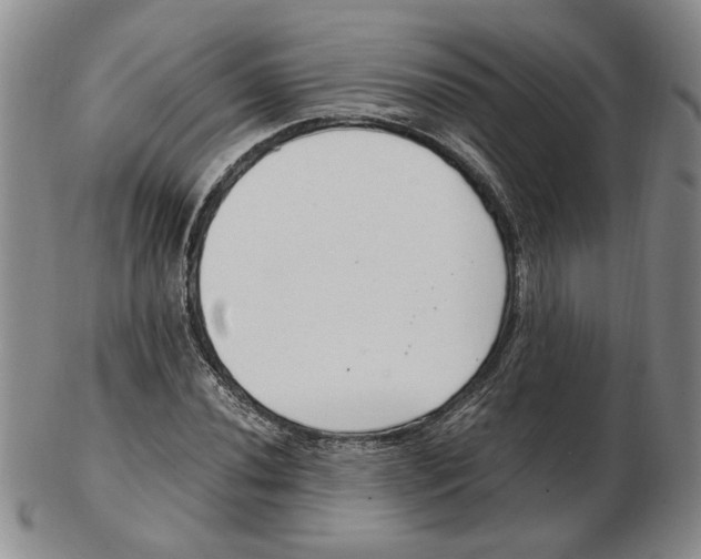 X0000102761020200809080936