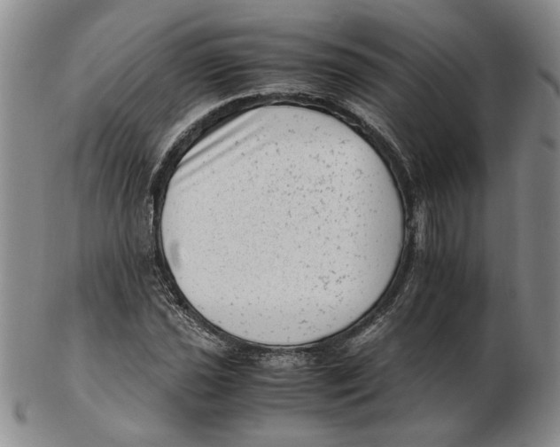 X0000102761021200809080936