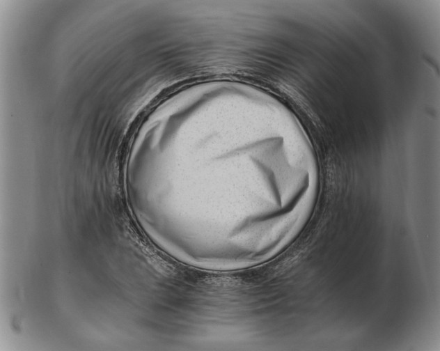 X0000102761023200809080936