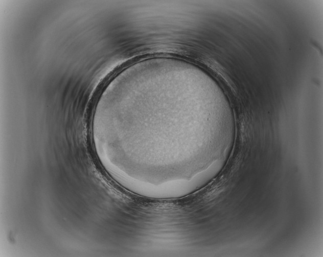 X0000102761024200809080936