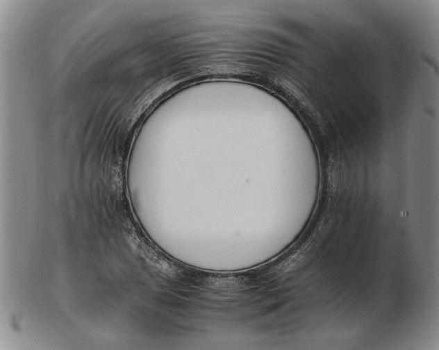 X0000102761025200809080936