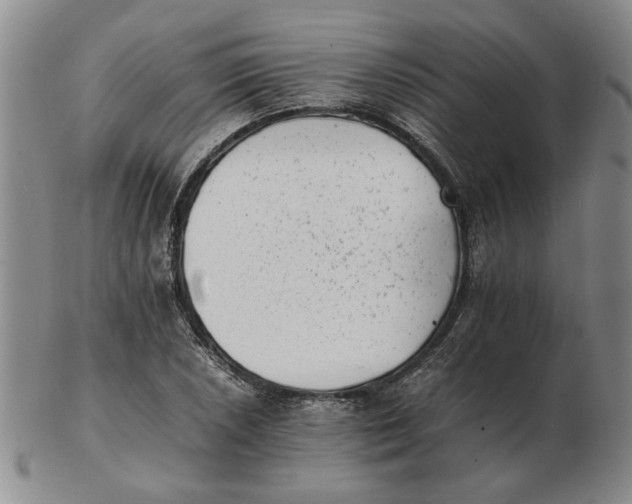 X0000102761026200809080936