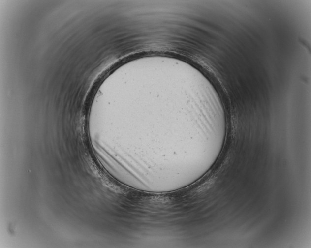 X0000102761029200809080936