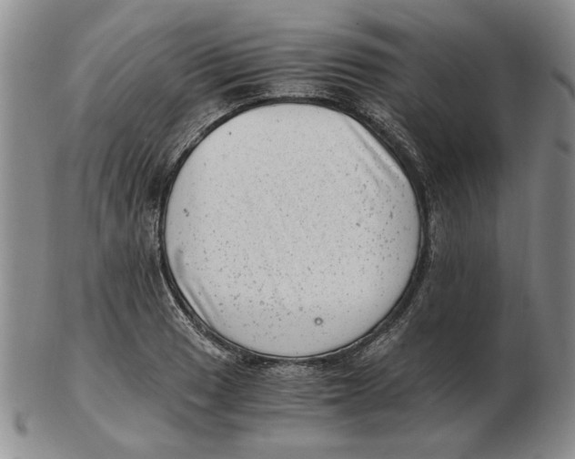 X0000102761033200809080936