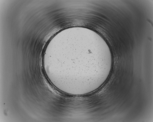 X0000102761034200809080936