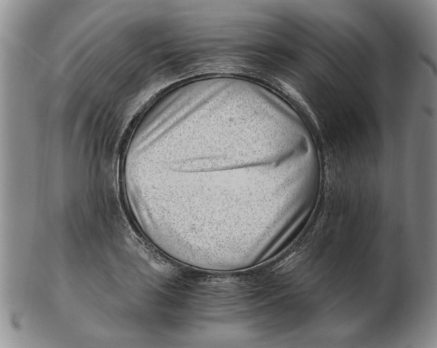 X0000102761035200809080936