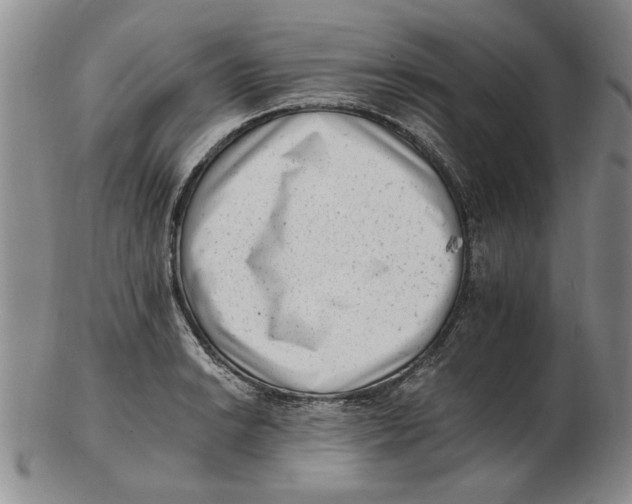 X0000102761038200809080936