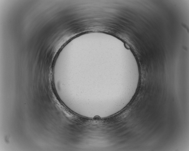 X0000102761040200809080936