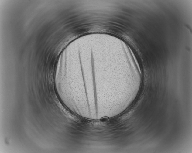 X0000102761041200809080937