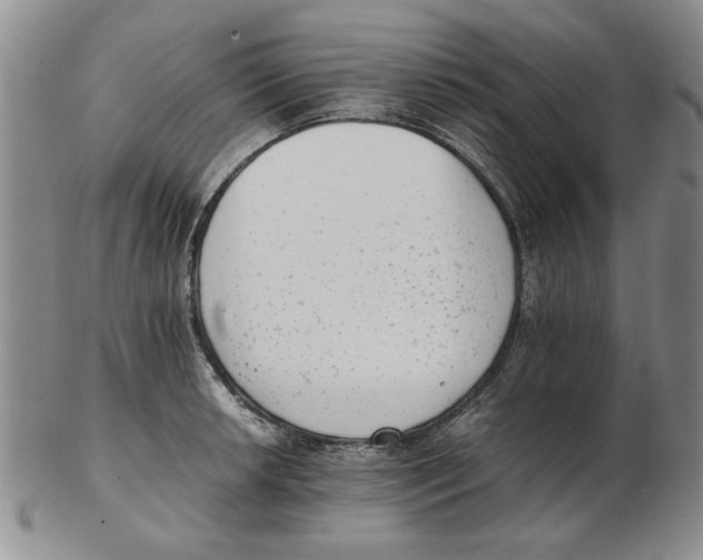 X0000102761042200809080937