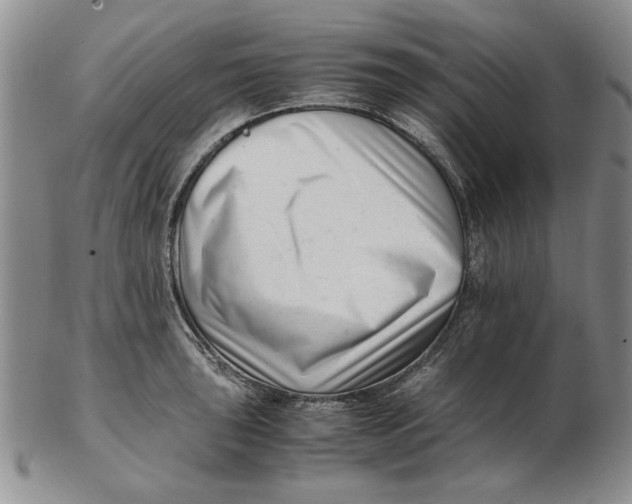 X0000102761043200809080937