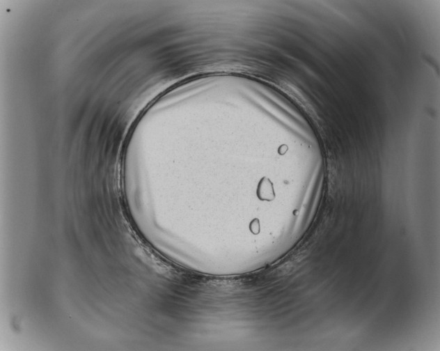 X0000102761044200809080937