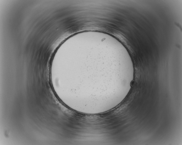 X0000102761046200809080937