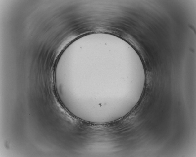 X0000102761048200809080937