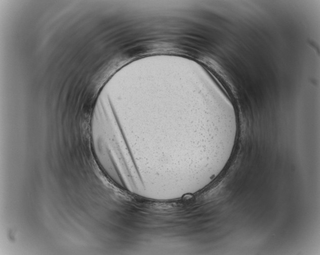 X0000102761049200809080937