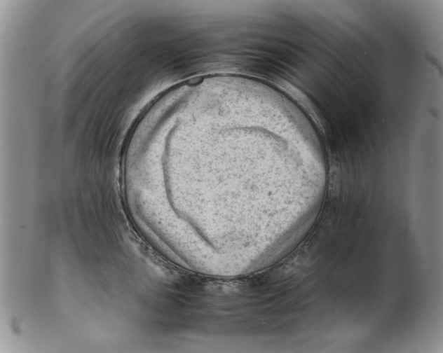 X0000102761051200809080937