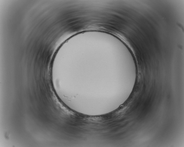 X0000102761053200809080937