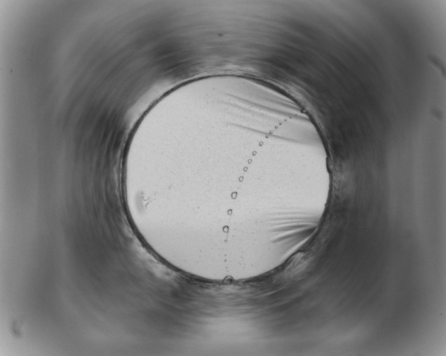 X0000102761054200809080937